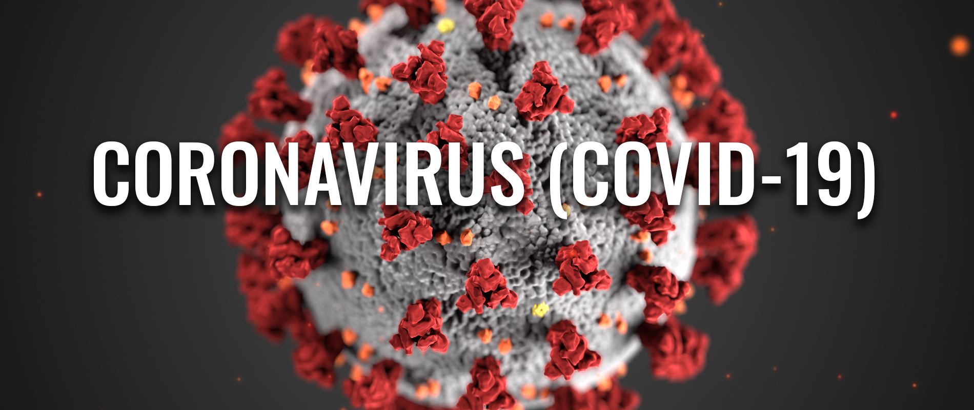 Νέος Κορωνοϊός SARS-CoV-2 (COVID-19) - Genotypos